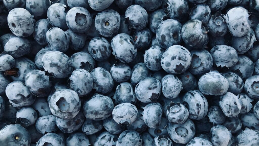 Benefits of blueberries for the body and skin