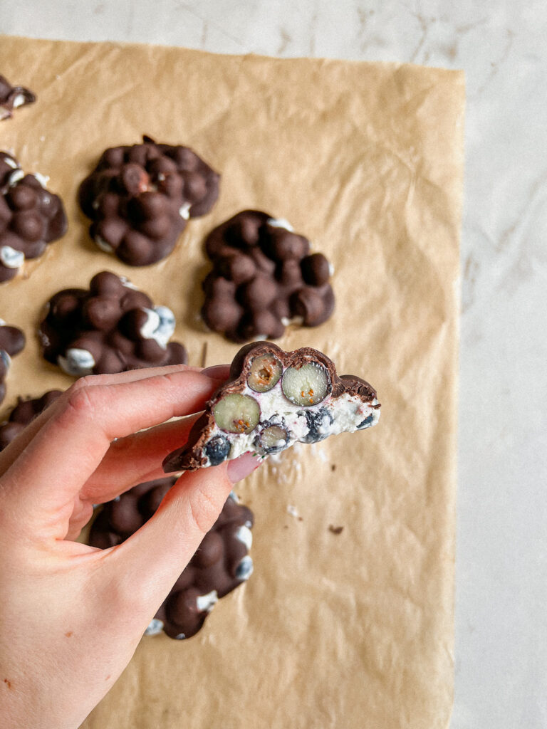 Blueberry and dark chocolate ice cream bars