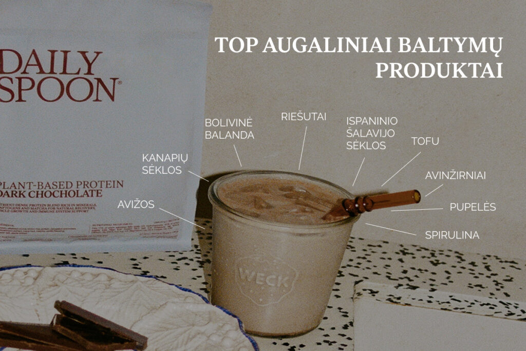 TOP augaliniai baltymų produktai