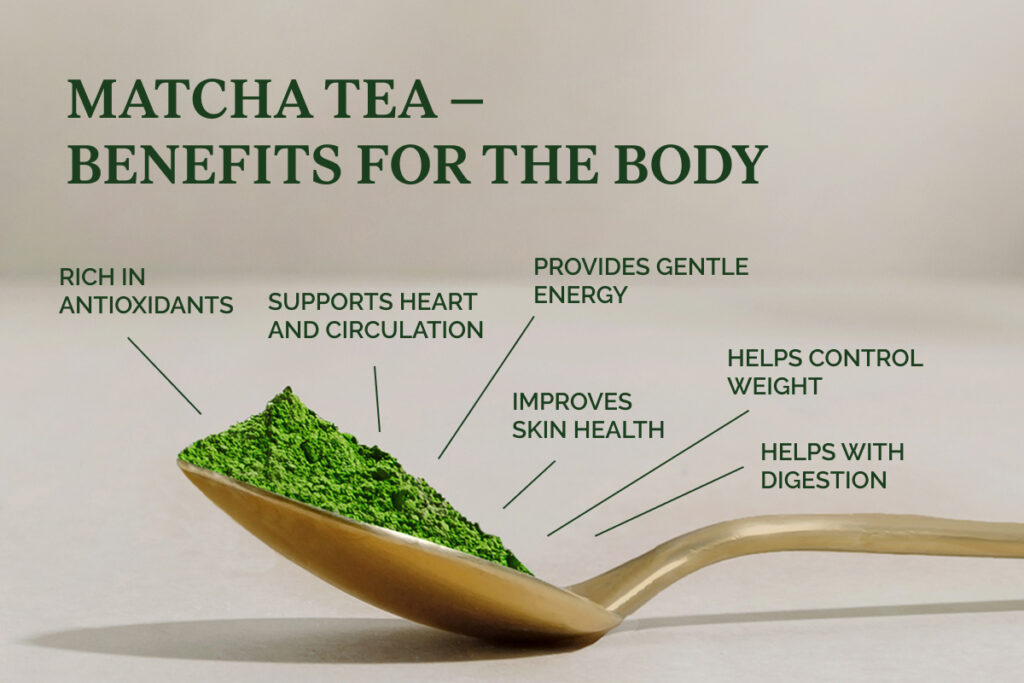 Matcha Tea – Benefits for the Body: rich in antioxidants, supports heart health, digestion, weight management, energy levels, and skin condition.
