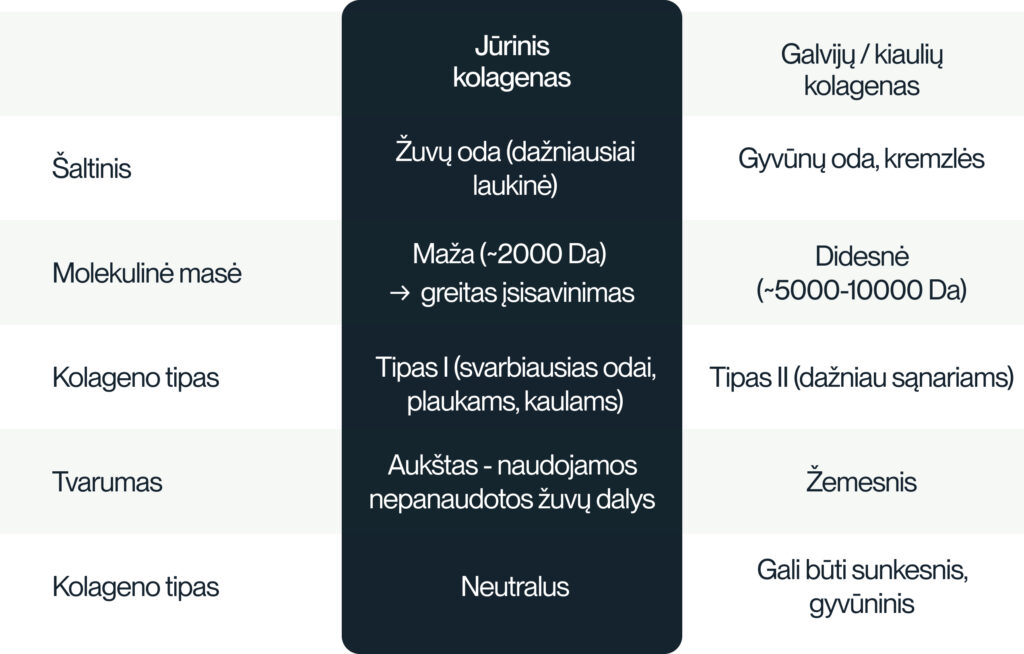 Kuo jūrinis kolagenas skiriasi nuo kitų tipų kolageno?